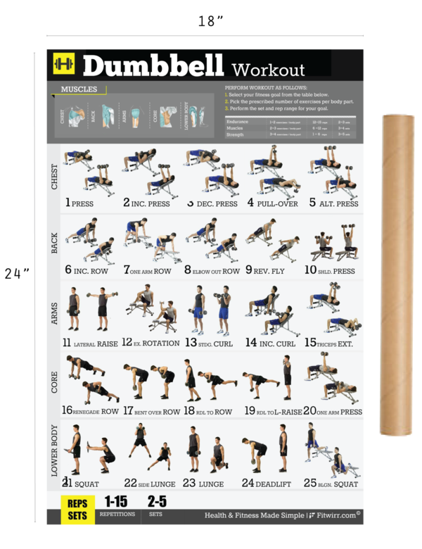 dumbbell exercises for women pdf